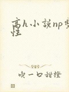 高h小说np双性