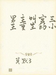 男主叫宫三爷女主重生的小说