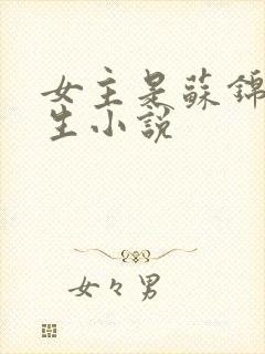 女主是苏锦的重生小说封面