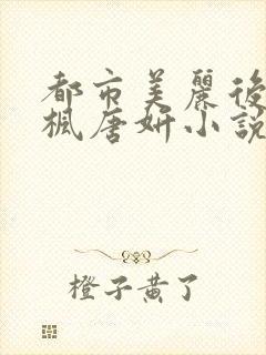 都市美丽后宫唐枫唐妍小说