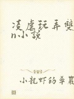 凌虐玩弄双性大n小说