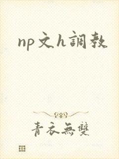 np文h调教