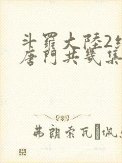 斗罗大陆2绝世唐门共几集