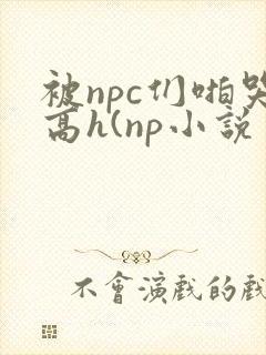 被npc们啪哭高h(np小说