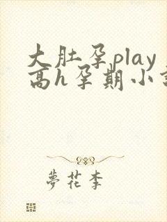 大肚孕play高h孕期小说