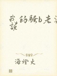 我的骚b老婆小说封面