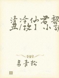 清冷仙君黎锦【丑/攻】小说