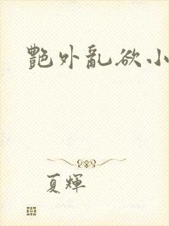 艳外乱欲小说封面