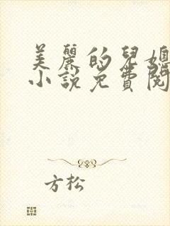 美丽的儿媳叶琳小说免费阅读全文封面