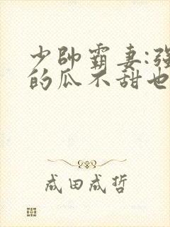 少帅霸妻:强扭的瓜不甜也得甜短剧