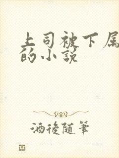 上司被下属欺负的小说