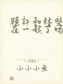 顾许和林双最后在一起了吗封面