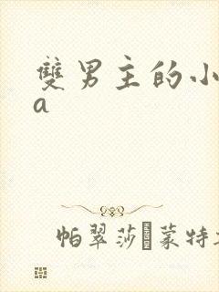 双男主的小说双a封面