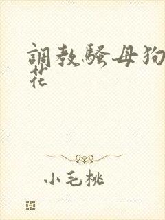 调教骚母狗h校花