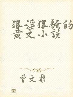 狠淫狠骚的重口黄文小说