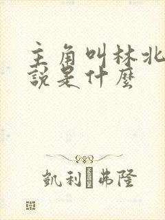 主角叫林北的小说是什么