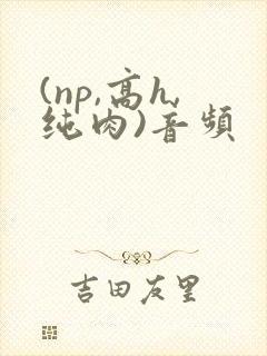 (np,高h,纯肉)音频