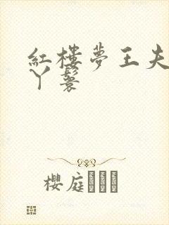 红楼梦王夫人的丫鬟