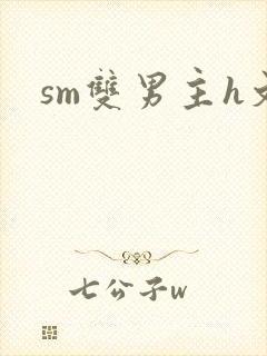 sm双男主h文
