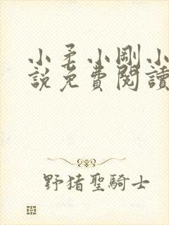 小柔小刚小正小说免费阅读