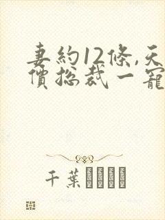 妻约12条,天价总裁一宠到底阅读全文