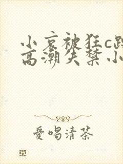 小哀被狂c躁到高潮失禁小说