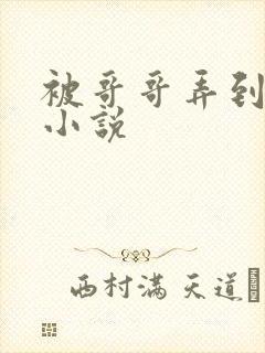 被哥哥弄到高潮小说