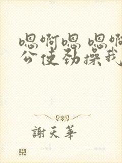 嗯啊嗯 嗯啊老公使劲操我av封面