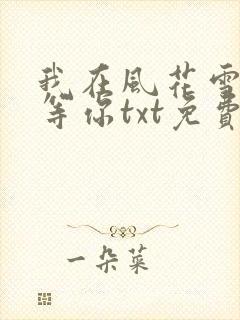 我在风花雪月里等你txt免费下载封面