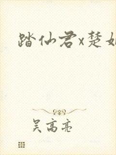 踏仙君x楚妃封面