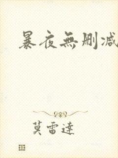 暴夜无删减版封面