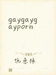 gaygaygayporn
