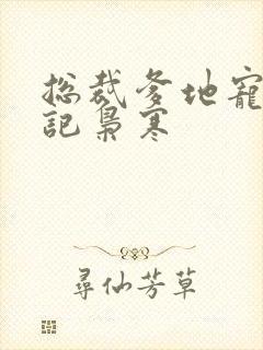 总裁爹地宠上天记枭寒