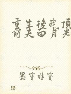 重生后我顶替了前夫白月光畅听