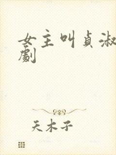 女主叫贞淑的韩剧