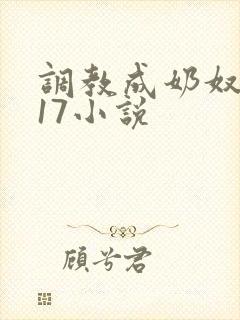 调教成奶奴1～17小说