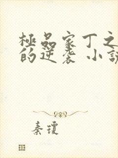 极品家丁之诚王的逆袭 小说封面