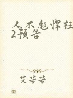 人不彪悍枉少年2预告