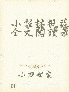 小说林枫苏慕白全文阅读最新章节