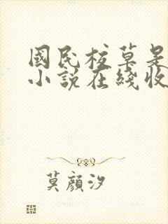 国民校草是女生小说在线收听