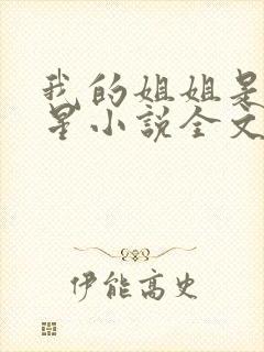 我的姐姐是大明星小说全文阅读