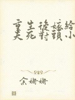 重生后嫁给了前夫死对头小说