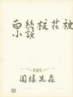 白丝校花被调教小说