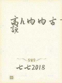 高h肉肉古言小说