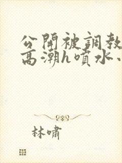 公开被调教当众高潮h喷水小说