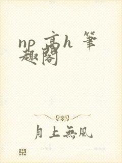 np 高h 笔趣阁