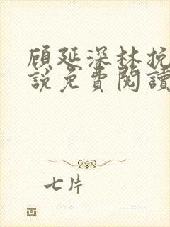 顾延深林挽音小说免费阅读最新章节