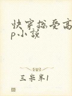 快穿总受高hnp小说