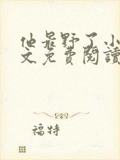 他最野了小说全文免费阅读无弹窗