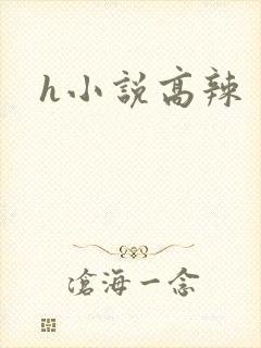h小说高辣